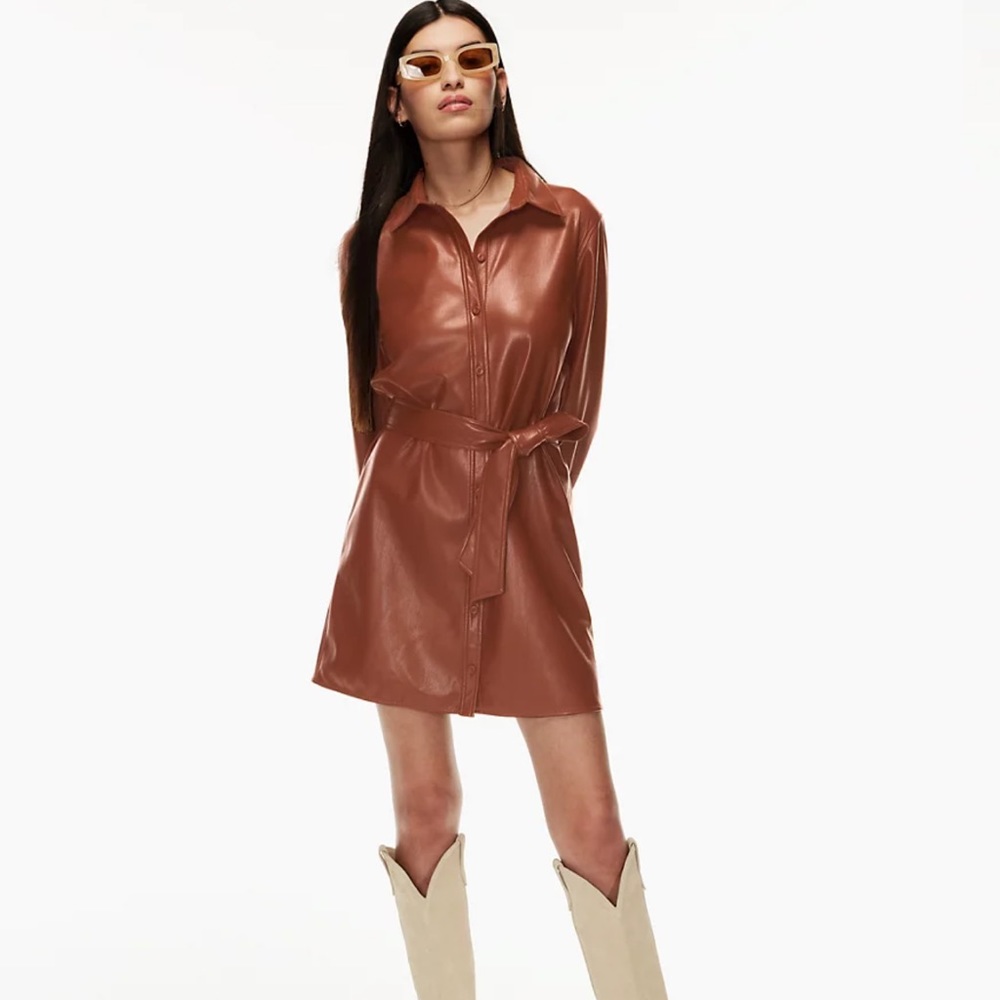Aritzia Wilfred Caroline Dress